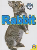 Rabbit (Caring for My Pet) cover