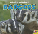 Badgers cover