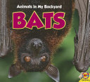 Bats cover