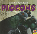 Pigeons cover