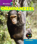 Chimpanzees cover
