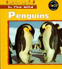 Penguins cover