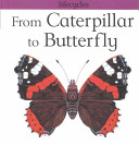 From Caterpillar to Butterfly cover
