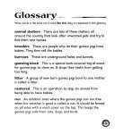 Guinea Pigs cover