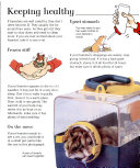 Hamsters cover