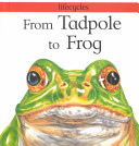 From Tadpole to Frog cover