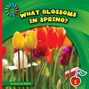 What Blossoms in Spring? cover