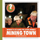 What's It Like to Live Here? Mining Town cover