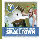 What's It Like to Live Here? Small Town cover