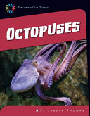 Octopuses cover