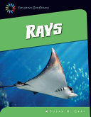 Rays cover