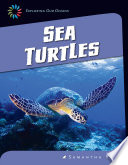 Sea Turtles cover