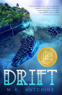 Drift cover