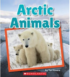 Arctic Animals cover