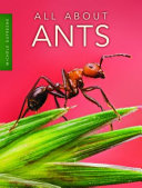 All About Ants cover