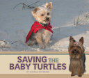 Turtles cover