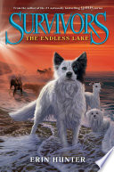 The Endless Lake cover