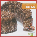 Eels cover