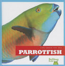 Parrotfish cover