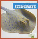 Stingrays cover