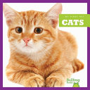 Cats cover