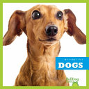 Dogs cover
