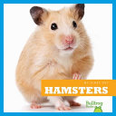 Hamsters cover