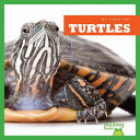 Turtles cover