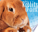 Pet Rabbits Up Close cover