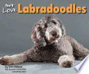 You'll Love Labradoodles cover