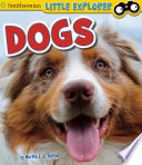 Dogs cover