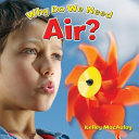 Why Do We Need Air? cover