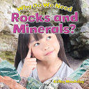 Why Do We Need Rocks and Minerals? cover