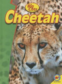 Cheetah cover
