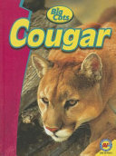 Cougar (Big Cats) cover