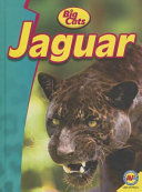Jaguar cover