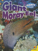 Giant Moray Eel cover