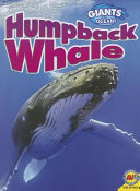 Humpback Whale cover