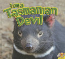 I Am a Tasmanian Devil cover