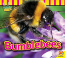 Bumblebees cover