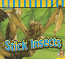 Stick Insects cover