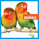 Birds cover