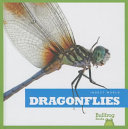 Dragonflies cover