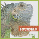 Iguanas cover