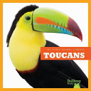 Toucans cover