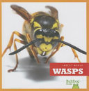 Wasps cover