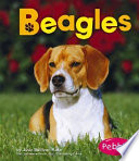 Beagles cover