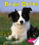 Border Collies cover