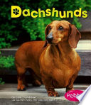 Dachshunds cover