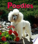 Poodles cover